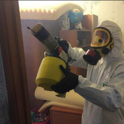Уничтожение клопов в квартире. Питкяранта